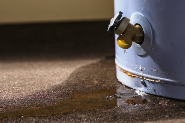 Best 24/7 water damage repair  in Holly Springs, MS