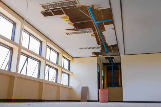 Best 24-hour water damage restoration  in Holly Springs, MS