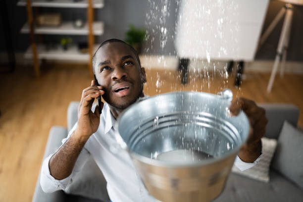 Best Flood damage cleanup  in Holly Springs, MS