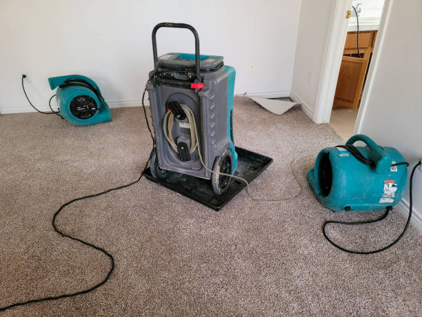 Best Water damage cleanup near me  in Holly Springs, MS