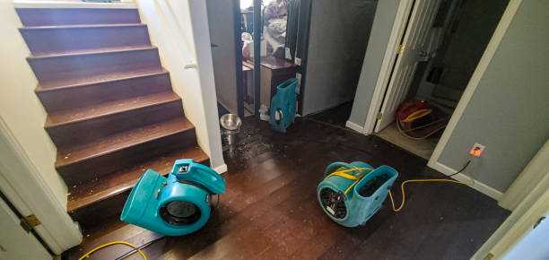 Best Commercial water damage restoration  in Holly Springs, MS