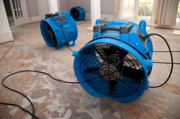 Water damage restoration process in Holly Springs, MS