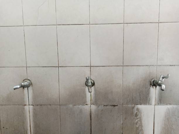 Best Emergency water damage restoration  in Holly Springs, MS