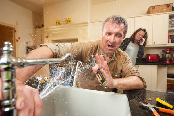 Best Water damage contractors near me  in Holly Springs, MS